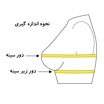 راهنمای دقیق انتخاب سایز سوتین